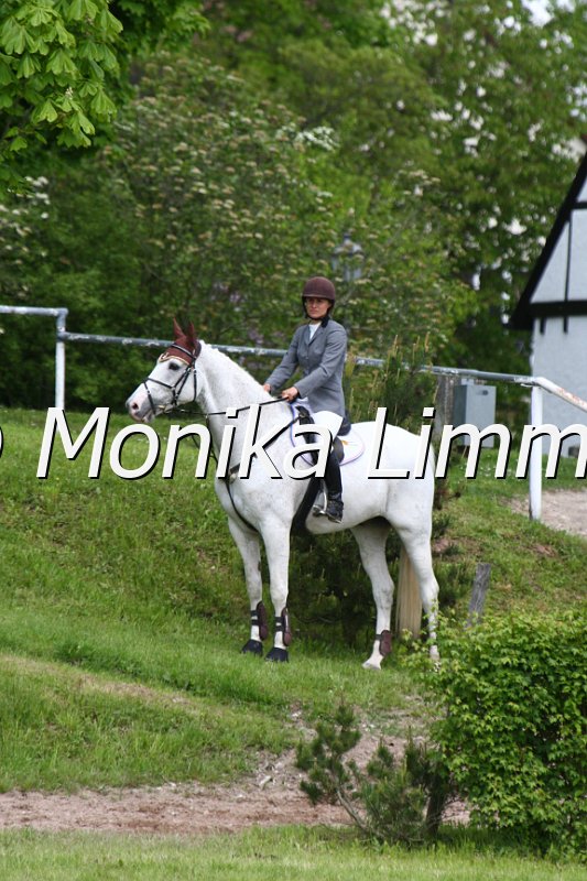 005M5001_Summer Dream_L Springen.JPG